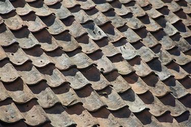 Bescherm je dak: preventietips - Oudsbergen