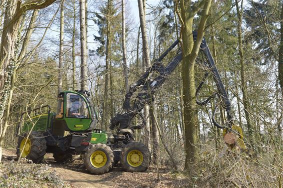 Bosgroep werkt aan Klitsberg in Paal - Beringen