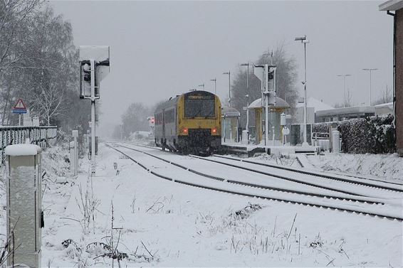 De eerste sneeuw aan de stopplaats - Hamont-Achel