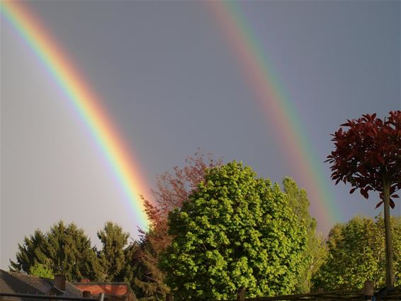 Een dubbele regenboog - Hamont-Achel