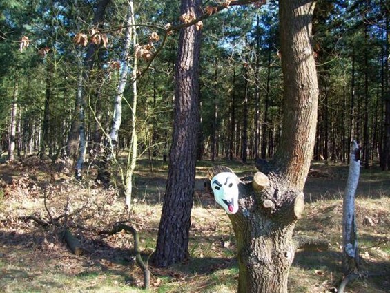 Een masker in het bos - Lommel