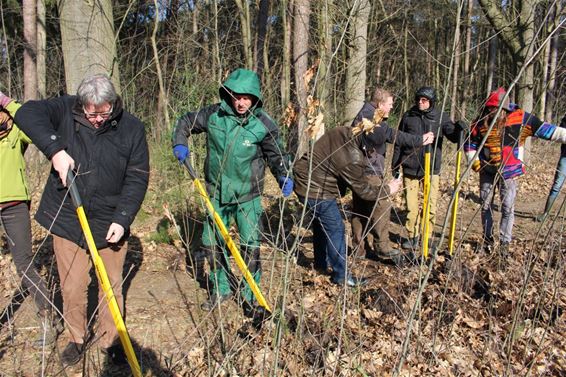 Een treepopper spaart de rug - Houthalen-Helchteren