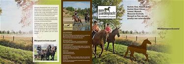 Folder 'Pure paardenpracht'