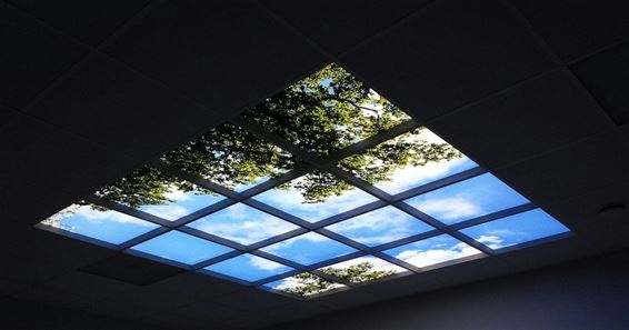 Foto's van blauwe hemel tegen het plafond - Overpelt