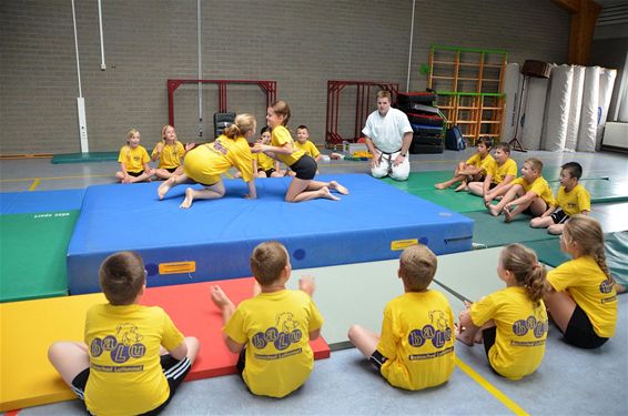 Jujitsu leren op school - Lommel