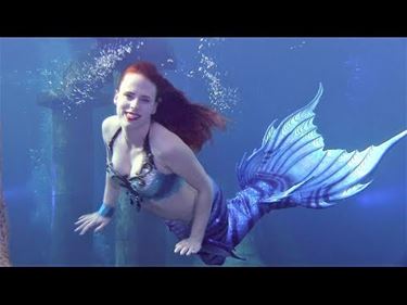 Mermaid Ariel in actie