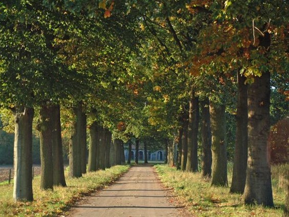 Natuur en Bos koopt 'Den Grooten Hof' - Overpelt