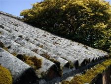 Onderzoek naar asbest bij daken