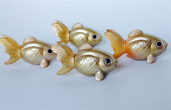 Op zoek naar een gouden vis - Hamont-Achel