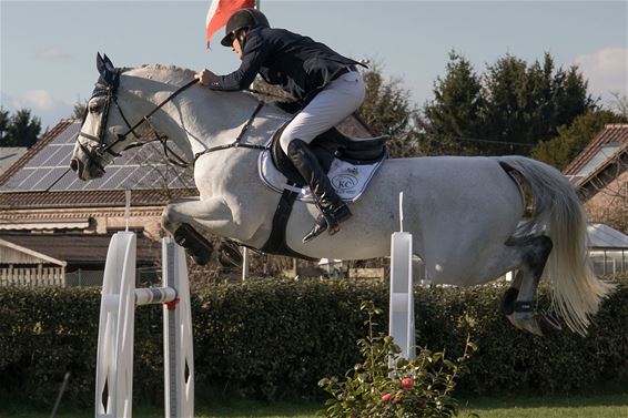Paardensport: Karel Cox wint in Lummen - Hechtel-Eksel