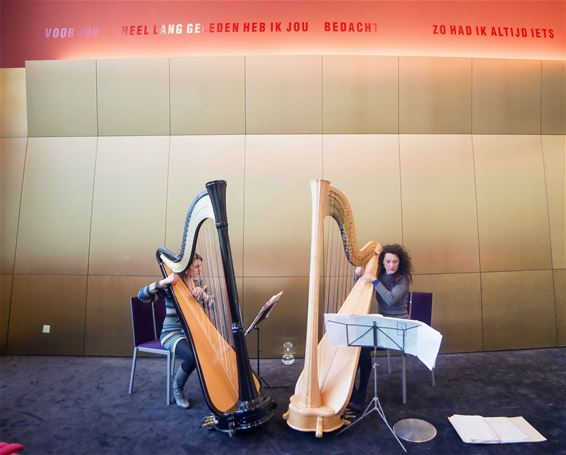 'Seduced by Harps' alweer enorm succes - Lommel