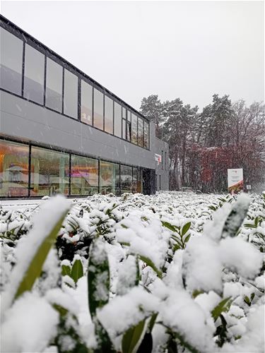 Sneeuw aan Inspirocollege - Houthalen-Helchteren