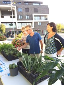 Stadsambtenaren adopteren een plant - Lommel