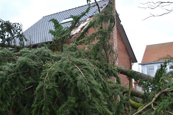 Veel stormschade in onze stad - Lommel
