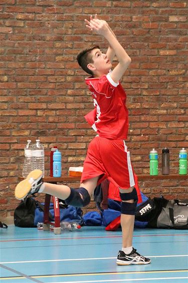 Volley: N.-Limburgers in interprovinciaal tornooi - Lommel & Pelt