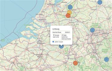 Wolven in Benelux en Duitsland in kaart gebracht