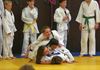 Hechtel-Eksel - Stevige stage bij de judoclub
