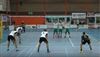 Hamont-Achel - Volley: AVOC verslaat Lendelede