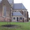 Hechtel-Eksel - Eerste gemeentelijke 'klimaatboom'