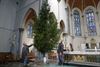 Neerpelt - Kerstboom van 7 meter in de Lilse kerk