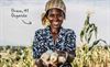 Beringen - 1672 euro voor boeren in Oeganda