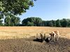 Hechtel-Eksel - Limburg krijgt droogtecoördinator
