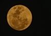 Hamont-Achel - Een prachtige volle maan vanavond