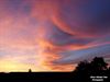 Hamont-Achel - Mooie zonsondergang...