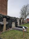 Peer - Historische graven worden geïnventariseerd