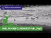 Oudsbergen - Wolf vervangt jacht in Nederlands ZW-Veluwe