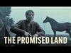 Pelt - Zebracinema: ''The Promised Land'