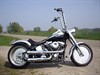 Pelt - Wie zag deze Harley-Davidson?