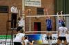 Volley: Tongeren verliest van Hasselt