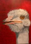 Kunstzinnige blik