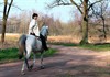 Hamont-Achel - Weer om paard te rijden