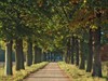 Overpelt - Natuur en Bos koopt 'Den Grooten Hof'