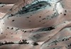 Hechtel-Eksel - Bomen op Mars