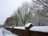Hamont-Achel - De eerste sneeuw