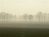 Hamont-Achel - Mist of geen mist, dat is de vraag