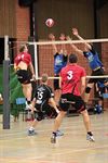 Lommel - Volley: seniorenploegen Lovoc op dreef