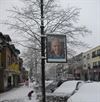 Houthalen-Helchteren - 'Wit is altijd mooi'