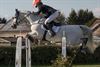 Hechtel-Eksel - Paardensport: Karel Cox wint in Lummen