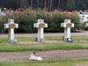 Neerpelt - Ondertussen, op de begraafplaats...