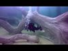 Beringen - Primeur: eerste onderwaterbeelden TODI