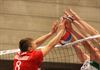 Hamont-Achel - Volleybal: Noliko Maaseik klopt AVOC