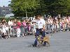 Veel volk voor opendeurdag politie |Foto 3|