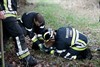 Pony bevrijd door brandweer