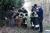 Pony bevrijd door brandweer