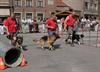 Geslaagde eerste editie van dierenhappening