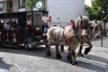 Massa volk voor 'Bier Anders'